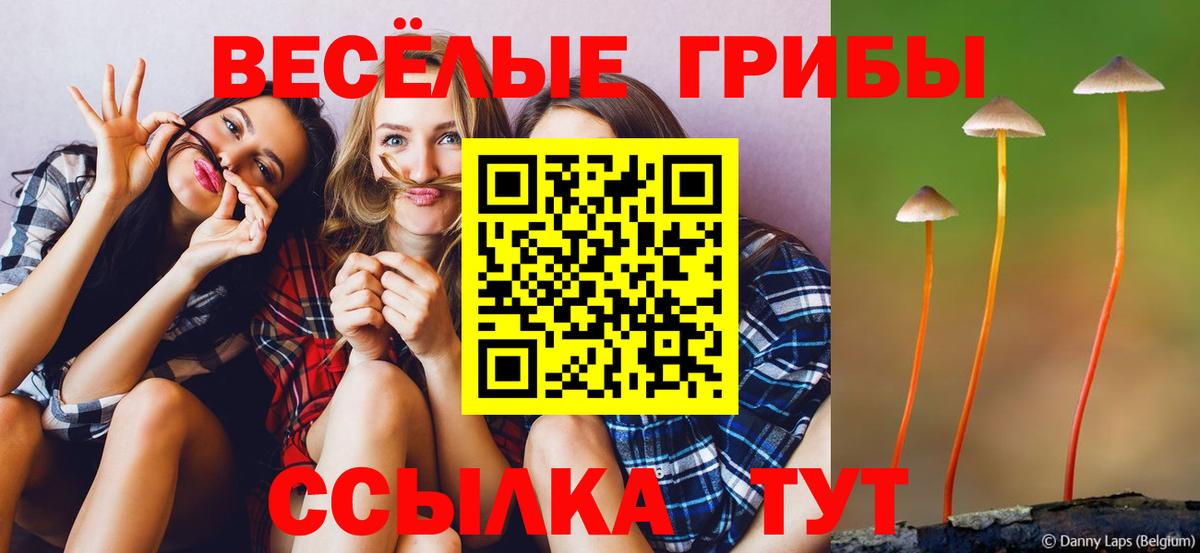 Галлюциногенные грибы GOLDEN TEACHER Махачкала