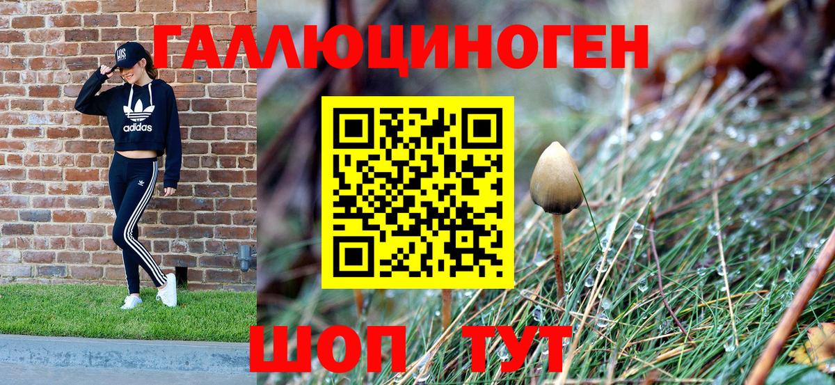 Махачкала  Галлюциногенные грибы Magic Shrooms  Вход с VPN 