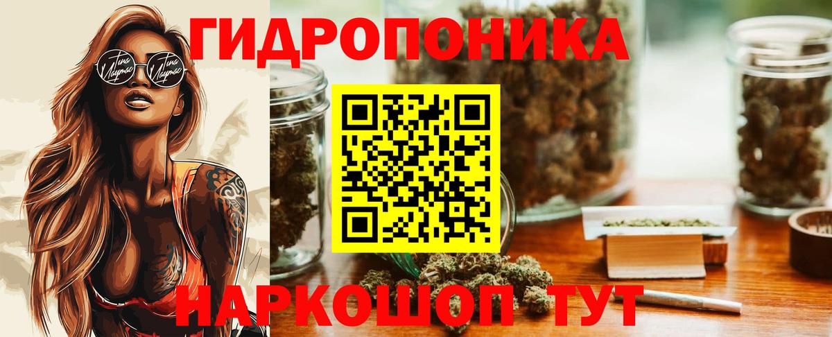 Марихуана гибрид  Конопля MAZAR  Вход с VPN  Конопля сатива  Махачкала 